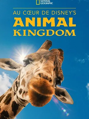 Au cœur de Disney's Animal Kingdom