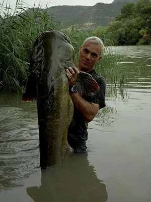 River Monsters