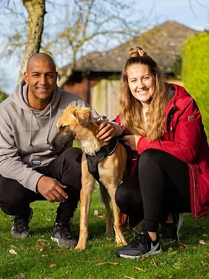 Dog House : un chien pour la vie