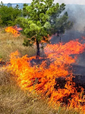 Alerte climat : Nos politiques hors sol ?