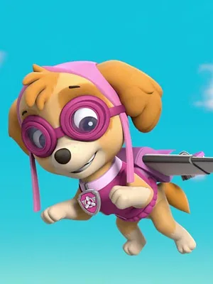 Paw Patrol, la Pat'Patrouille S3 E1