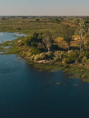Les îles, laboratoires de la nature