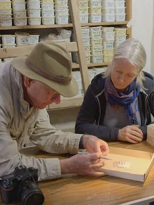 Les trésors perdus de la Vallée des Rois