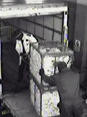 Lee Murray, le coût du risque