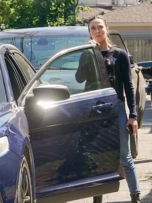 Chicago Police Department S10 E5