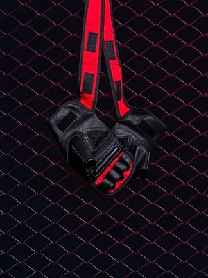 Fighter Club Legends