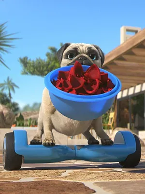 Mike, une vie de chien S1 E72