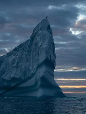 Les îles, laboratoires de la nature