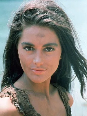 La planète des singes