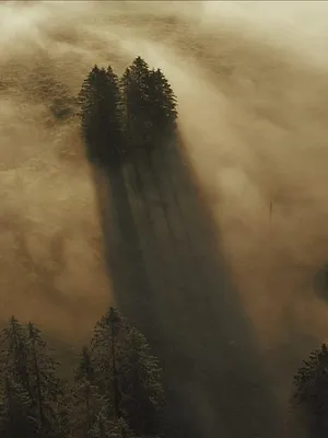 La Suisse sauvage