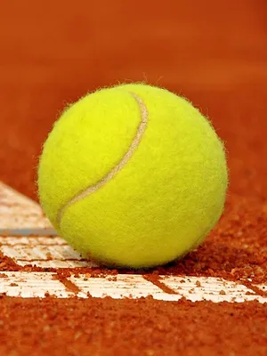 Flavio Cobolli / Alexander Zverev