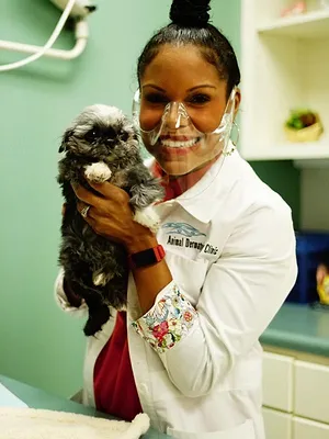 Dr. Joya, véto et dermato