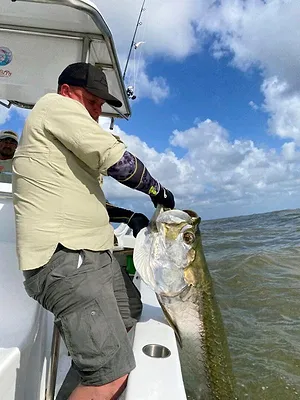 Dans l'oeil du tarpon