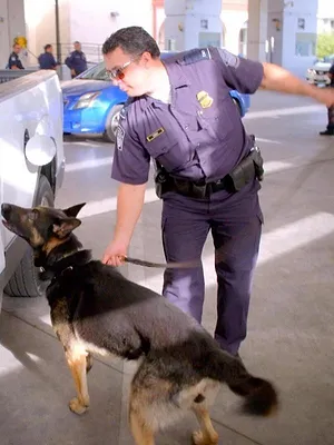 Borderforce USA : the Bridges