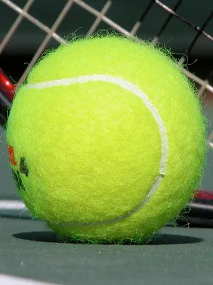 Tennis : Tournoi ATP de Bruxelles