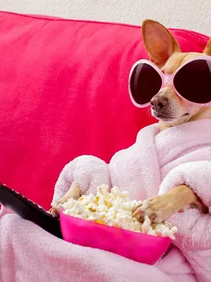 Finale du concours régional d'éloquence