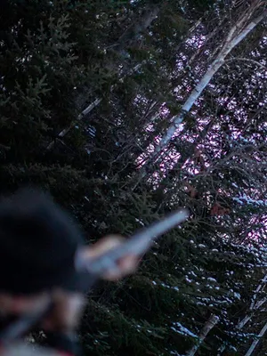 Québec à vol d'oiseau