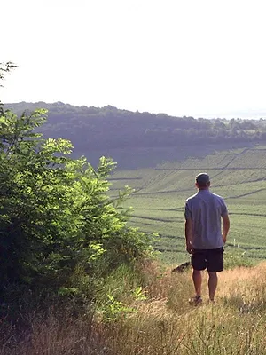 Des vignes et des hommes