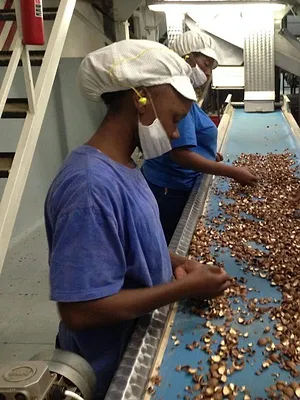 Comment ça marche ?