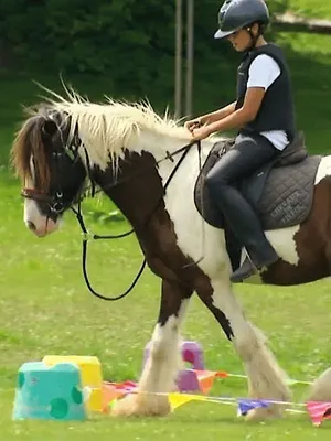 Au galop !