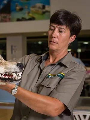 Patrouille frontalière Nouvelle-Zélande