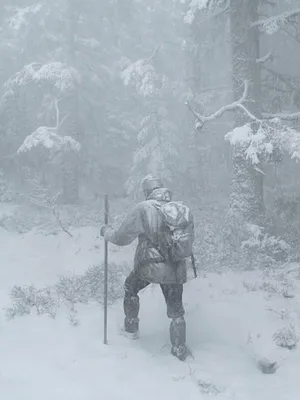 Le Chant des forêts