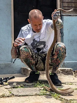 Snakes in the City