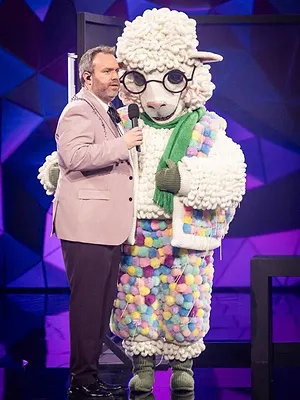 The Masked Singer (Belgique)