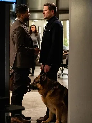 Hudson et Rex S4 E16