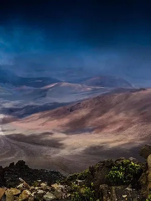 Destination Wild : Hawaï à l'état sauvage