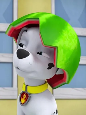 Paw Patrol, la Pat'Patrouille S3 E3