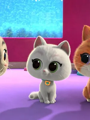 SuperChatons S1 E17
