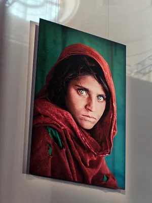 Steve McCurry, le photographe roi de la couleur