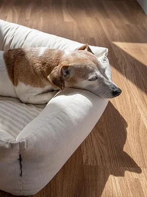 Une famille pour la vie