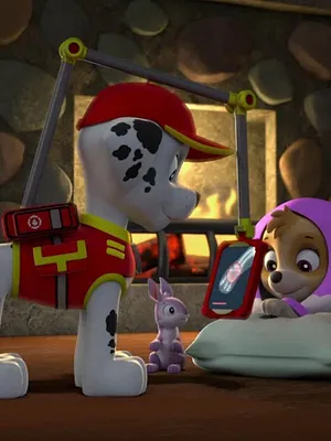 Paw Patrol, la Pat'Patrouille S2 E24