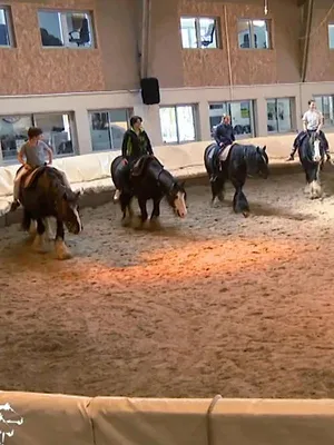 Au galop !
