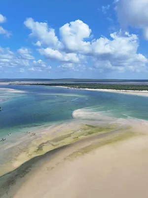 Les deltas : frontières entre terre et mer