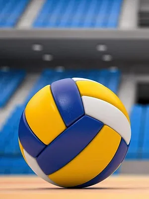Volley-ball : le film des finales LNV