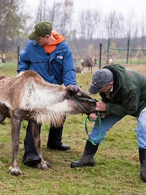 L'incroyable Dr Pol