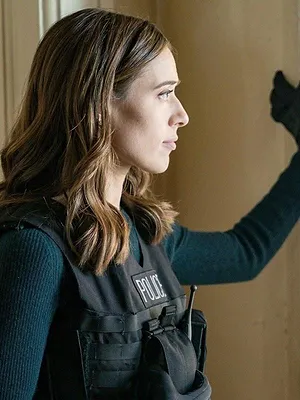 Chicago Police Department S5 E11