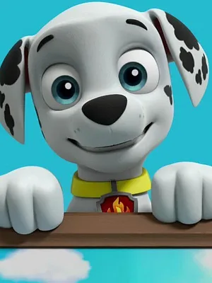 Paw Patrol, la Pat'Patrouille S6 E22