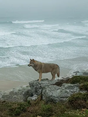 La Chambre des merveilles