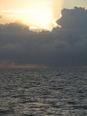 Les espaces sauvages d'Amérique