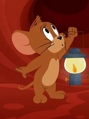 Tom et Jerry Show S1 E11