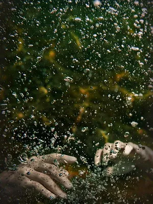 Dark Waters : les rivages de la mort