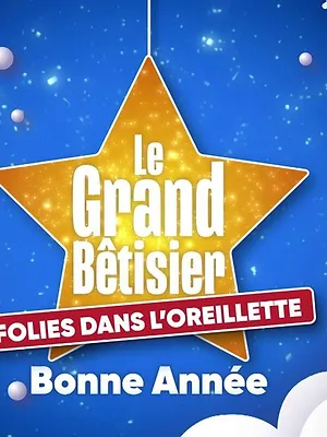 Le grand bêtisier