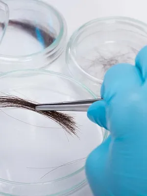 Au coeur de l'enquête