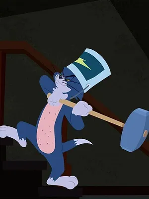 Tom et Jerry Show S1 E27