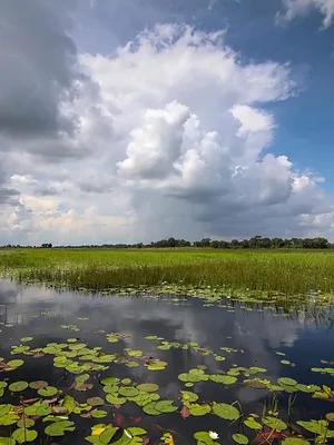 Survie au fil de l'eau
