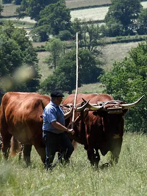 C'est le monde à l'envers !